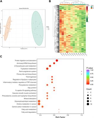 Multi-omics analysis explores the effect of chronic exercise on liver metabolic reprogramming in mice